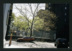 Block 241: Broome Street between Cannon Street and Lewis Street (south side)