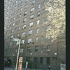 Block 241: Broome Street between Cannon Street and Lewis Street (south side)