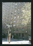 Block 241: Broome Street between Cannon Street and Lewis Street (south side)