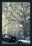 Block 241: Broome Street between Cannon Street and Lewis Street (south side)