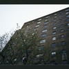 Block 241: Broome Street between Cannon Street and Lewis Street (south side)