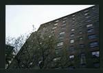 Block 241: Broome Street between Cannon Street and Lewis Street (south side)