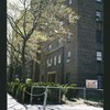 Block 241: Broome Street between Cannon Street and Lewis Street (south side)