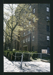 Block 241: Broome Street between Cannon Street and Lewis Street (south side)