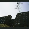 Block 241: Lewis Street between Broome Street and Grand Street (west side)