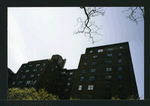 Block 241: Lewis Street between Broome Street and Grand Street (west side)