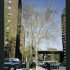 Block 241: Grand Street between Lewis Street and Columbia Street (north side)