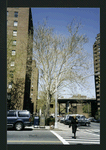 Block 241: Grand Street between Lewis Street and Columbia Street (north side)