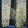 Block 241: Grand Street between Lewis Street and Columbia Street (north side)