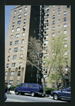 Block 241: Grand Street between Lewis Street and Columbia Street (north side)