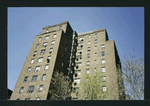Block 241: Grand Street between Lewis Street and Columbia Street (north side)