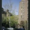 Block 241: Grand Street between Lewis Street and Columbia Street (north side)