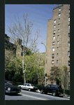 Block 241: Grand Street between Lewis Street and Columbia Street (north side)