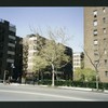 Block 241: Grand Street between Lewis Street and Columbia Street (north side)
