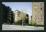 Block 241: Grand Street between Lewis Street and Columbia Street (north side)