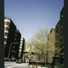 Block 241: Grand Street between Lewis Street and Columbia Street (north side)