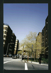 Block 241: Grand Street between Lewis Street and Columbia Street (north side)