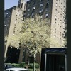 Block 241: Columbia Street (Abraham E. Kazan Street) between Grand Street and Delancey Street South (east side)