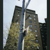 Block 241: Columbia Street (Abraham E. Kazan Street) between Grand Street and Delancey Street South (east side)