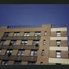 Block 242: Grand Street between Columbia Street and Willett Street (north side)