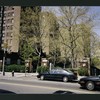 Block 242: Grand Street between Columbia Street and Willett Street (north side)