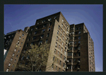 Block 242: Willett Street between Grand Street and Delancey Street South (east side)