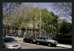 Block 242: Willett Street between Grand Street and Delancey Street South (east side)