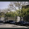 Block 242: Delancey Street South between Willett Street and Columbia Street (south side)