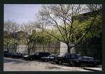 Block 242: Delancey Street South between Willett Street and Columbia Street (south side)