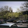 Block 242: Delancey Street South between Willett Street and Columbia Street (south side)