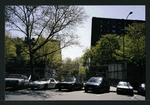 Block 242: Delancey Street South between Willett Street and Columbia Street (south side)
