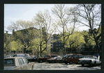 Block 242: Delancey Street South between Willett Street and Columbia Street (south side)
