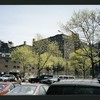 Block 242: Delancey Street South between Willett Street and Columbia Street (south side)