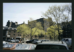 Block 242: Delancey Street South between Willett Street and Columbia Street (south side)