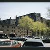 Block 242: Delancey Street South between Willett Street and Columbia Street (south side)
