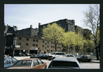 Block 242: Delancey Street South between Willett Street and Columbia Street (south side)