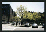 Block 242: Delancey Street South between Willett Street and Columbia Street (south side)