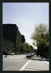 Block 242: Delancey Street South between Willett Street and Columbia Street (south side)