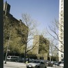 Block 243: Delancey Street North between Columbia Street and Pitt Street (north side)