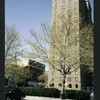 Block 243: Delancey Street North between Columbia Street and Pitt Street (north side)
