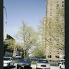 Block 243: Delancey Street North between Columbia Street and Pitt Street (north side)