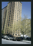 Block 243: Pitt Street between Delancey Street North and Stanton Street (east side)