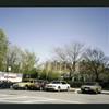 Block 243: Pitt Street between Delancey Street North and Stanton Street (east side)