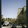 Block 243: Pitt Street between Delancey Street North and Stanton Street (east side)