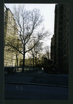 Block 243: Stanton Street between Pitt Street and Columbia Street (south side)