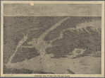 Panoramic view of New York City and vicinity 