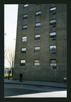 Block 246: East Houston Street between Ridge Street and Pitt Street (south side)