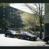 Block 246: Pitt Street between East Houston Street and Stanton Street (west side)