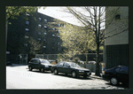 Block 246: Pitt Street between East Houston Street and Stanton Street (west side)