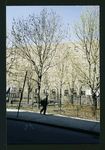 Block 246: Stanton Street between Pitt Street and Ridge Street (north side)